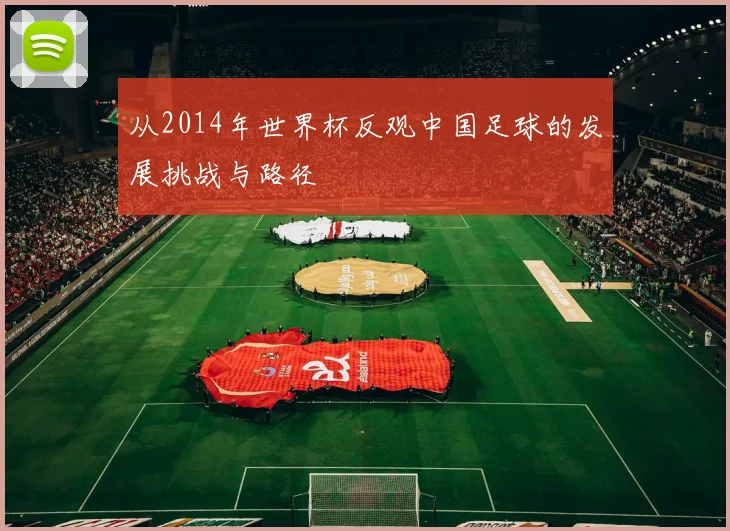 从2014年世界杯反观中国足球的发展挑战与路径
