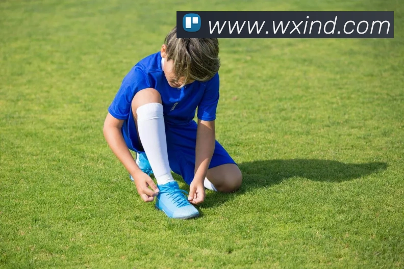 beat365最新网站发展历程